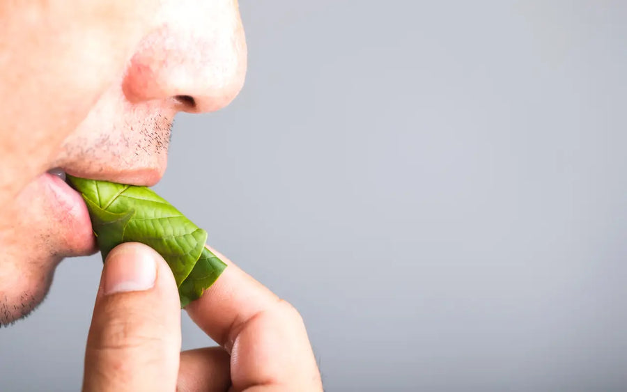 How Long Does Kratom Take to Work and How Long Do the Effects Last?