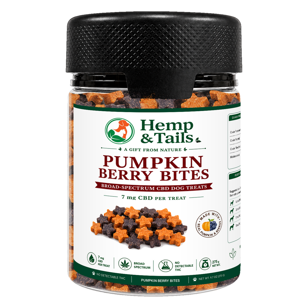Hemp & Tails Pumpkin Berry Bites CBD dog treats in a clear 275g jar with a black lid.