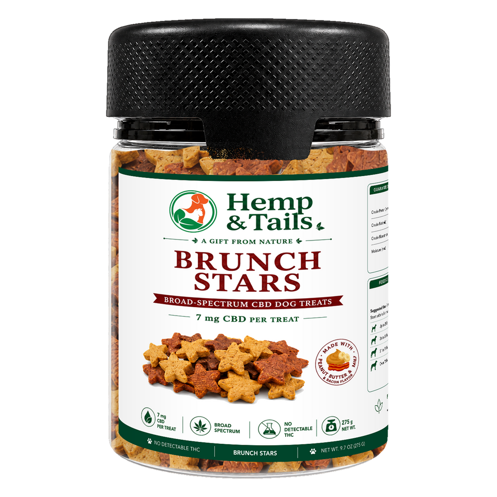 Hemp & Tails Brunch Stars CBD dog treats in a clear 275g jar with a black lid.