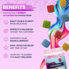 CBD Gummies for balance Orangeade hybrid benefits