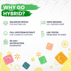 DELTA 9 GUMMIES HYBRID 30 Count Watermelon Lime Competitive Advantage