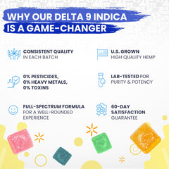 Peach Fuzz Delta 9 Gummies - Indica Benefits 2