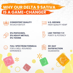 DELTA 9 GUMMIES 30 Count Limesicle 810mg SATIVA Competitive Advantage