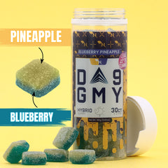 DELTA 9 GUMMIES HYBRID - 30CT Blueberry Pineapple 810mg (15mg ea.) Real Product Picture
