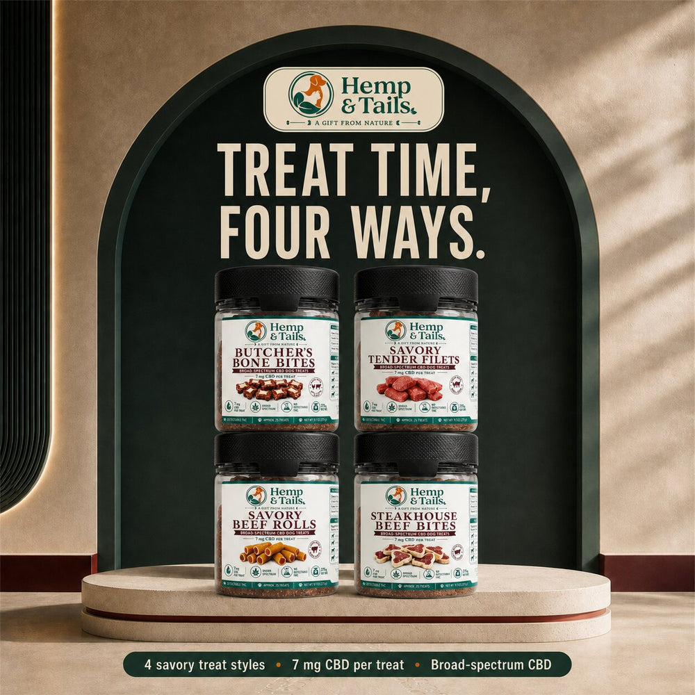 Four jars of Hemp & Tails pet treats arranged on a round pedestal in front of a dark arched display backdrop. The labels show different treat flavors: Butcher's Bone Bites, Candy Tender Bites, Savory Bell Rolls, and Steakhouse Bell Bites.