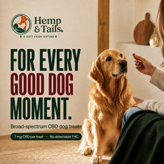 A golden retriever sits on a carpeted floor indoors while a person offers a treat. Large text reads 'Hemp & Tails' and 'FOR EVERY GOOD DOG MOMENT.