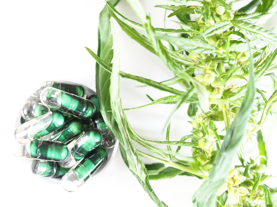 CBD Capsules vs Oil: Differences, Effectiveness & How to Choose
