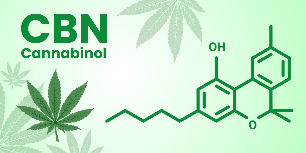 What Is CBN Cannabinoid? Everything You Need to Know About CBN