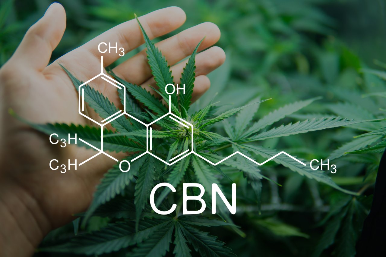 How Is CBN Made? Why This Rare Cannabinoid Is Worth the Extra Cost