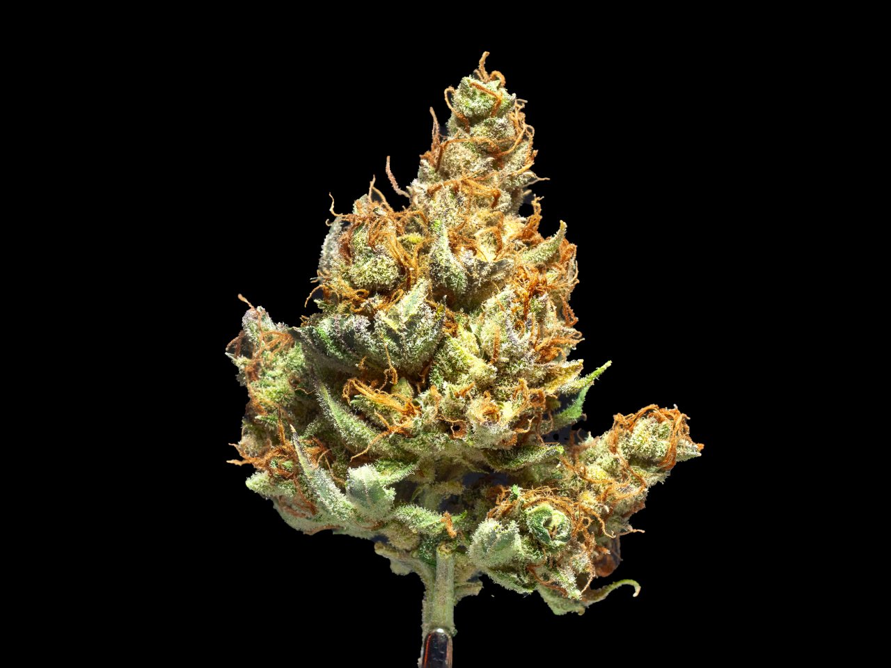 Delta 8 Flower