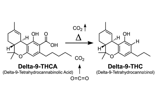Delta 9 vs THCA: What’s the Real Difference?