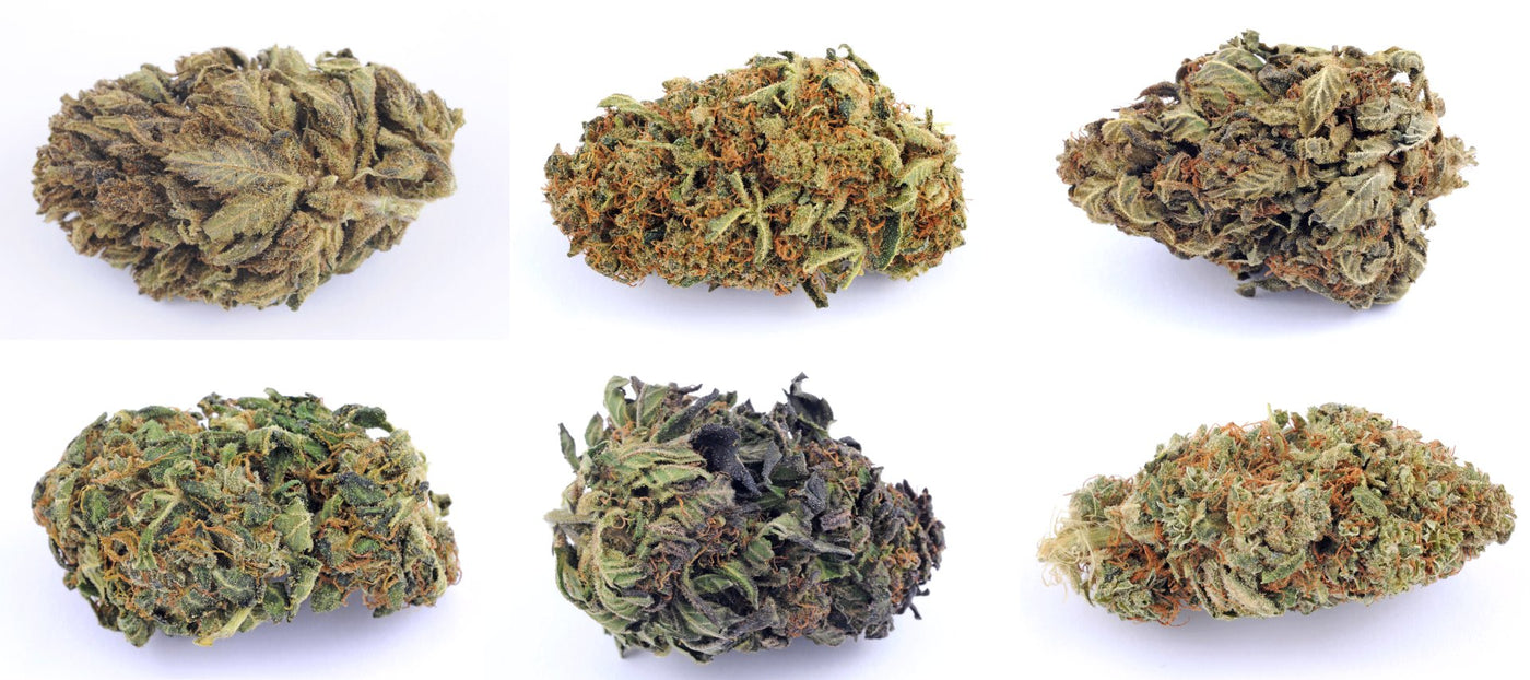 THC Types