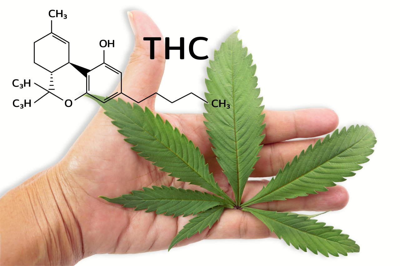 What Is THCP? The Complete Guide to the Most Potent Cannabinoid