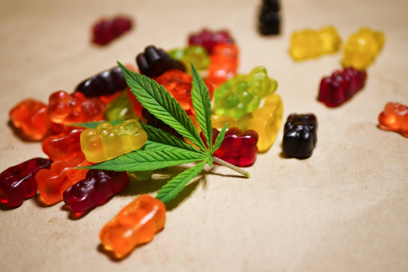 Traveling With CBD Gummies