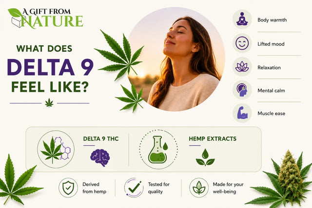 What Does Delta 9 Feel Like in the Body and Mind?