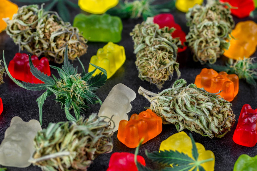 Do CBD Gummies Show Up on a Drug Test? What You Need to Know