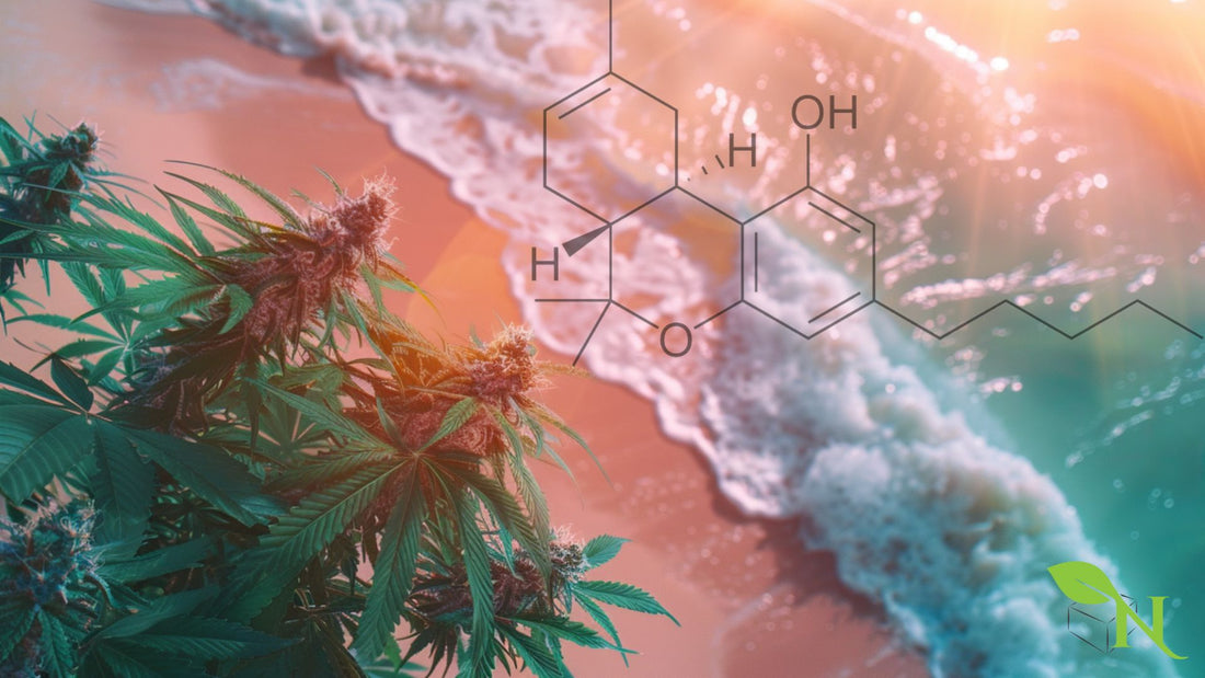 Delta-8 THC Guide: Benefits, Legality, and Usage Tips