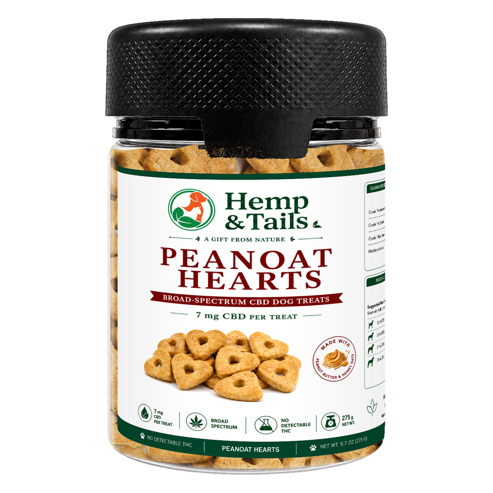 Hemp & Tails Peanoat Hearts peanut butter and oat CBD dog treats in a clear jar with a black lid.