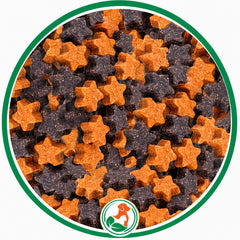 Orange and dark purple star-shaped Pumpkin Berry Bites dog treats in a green-bordered circular close-up.