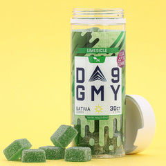DELTA 9 GUMMIES - 30CT Limesicle 810mg (15mg ea.) – SATIVA Real Product Picture