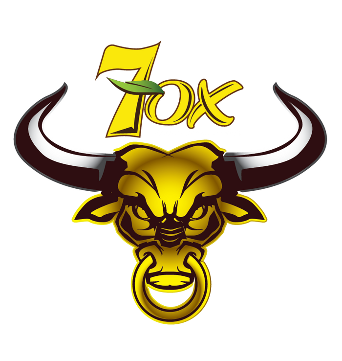 7OX Logo logo