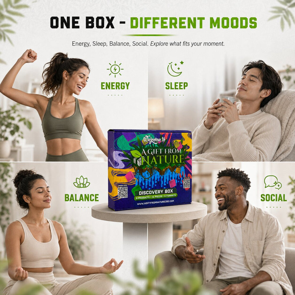 Four adults representing energy, sleep, balance and social moods around the Discovery Box